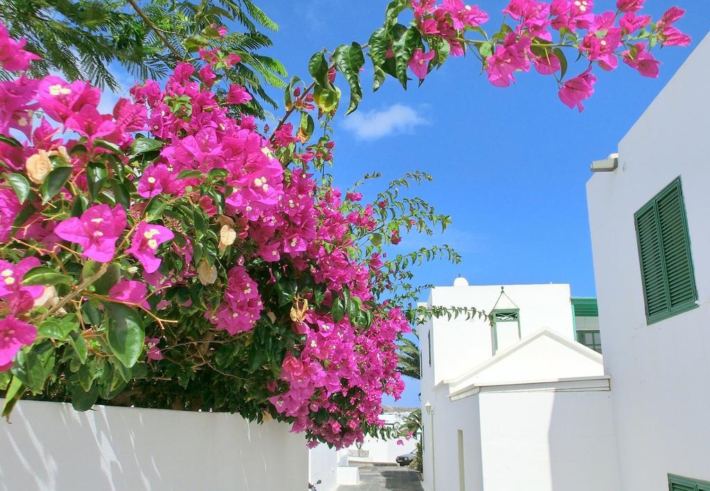 Villas Puerto Rubicon Playa Blanca  Luaran gambar